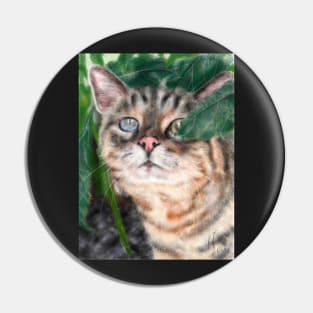 Blue and Green Eye Cat Peekaboo Pin