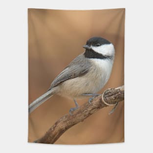 Carolina Chickadee Tapestry