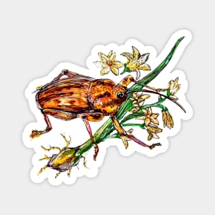 Weevil and Lily: Field Guide Portrait Magnet