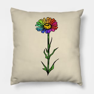 Rainbow Gerbera Daisy Pillow