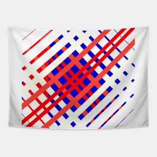 Red And Blue Lines Seamless Pattern, Geometric Tapestry