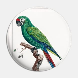 Military Macaw (1801—1805) Pin