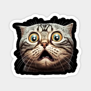 Funny Scared Cat Face, Cat Lover, Scaredy Cat Magnet