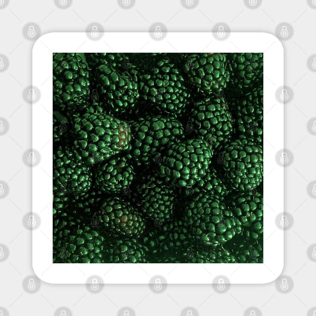 Fresh Delicious Blackberries in Green Magnet by DesignMore21