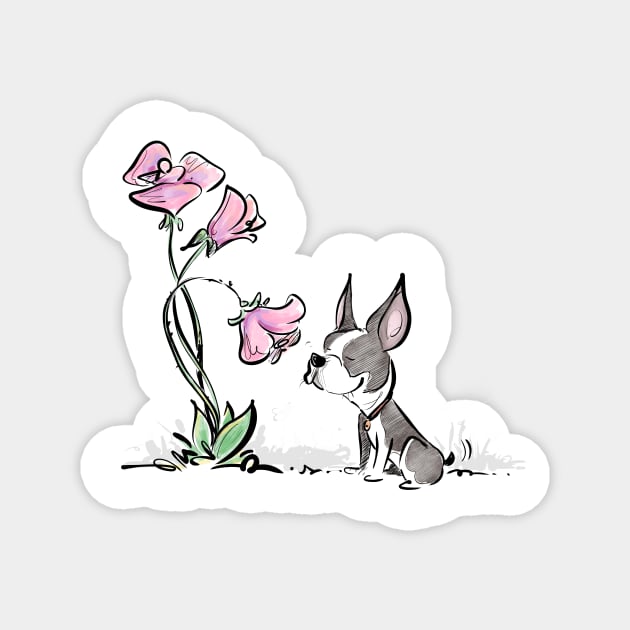 Boston Terrier Smelling Flowers (Color Version) Magnet by Jason's Doodles