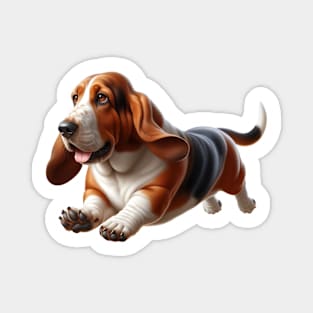 Basset Hound Magnet