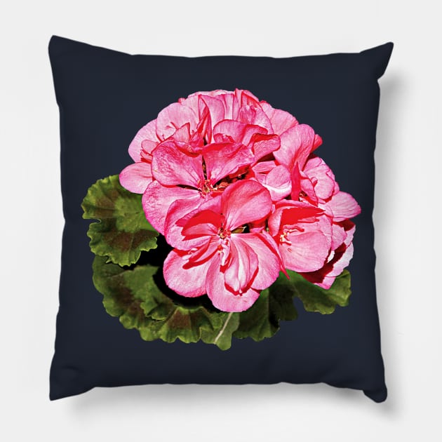 Pink Geranium Pillow by SusanSavad