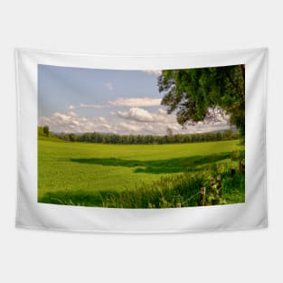 ibs meadow Tapestry