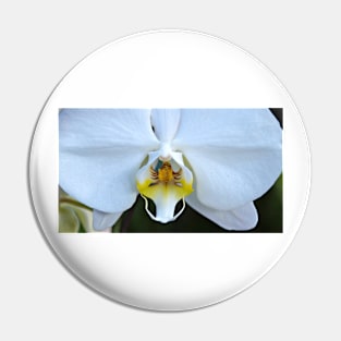 White Orchid Pin