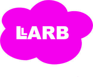 Hot Pink LARB Studios Cloud | LARB Studios & Abelia Rose Magnet