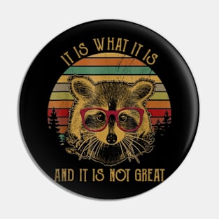 It Is What It Is And It Is Not Great Pin