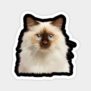 Ragdoll cat Face, Love Ragdoll cats, Cat Lover Magnet