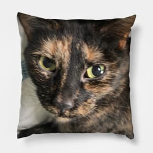 Soulful Tortie Pillow