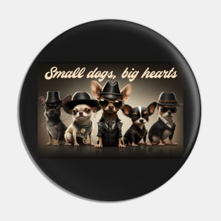 Chihuahua gang. Small dogs, big hearts. Pin