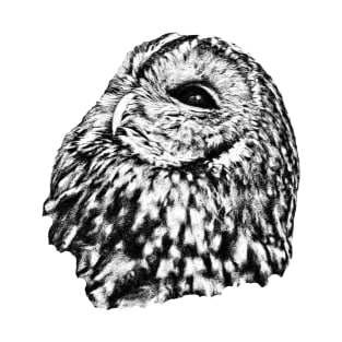 Tawny owl T-Shirt