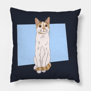 cat yelow Pillow