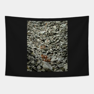 Hodge Close Quarry slate pile Tapestry