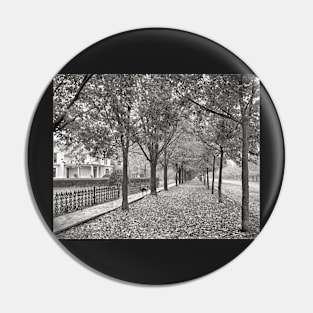 Autumn Street Scene, 1899. Vintage Photo Pin