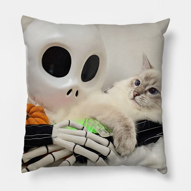 Saoirse ragdoll Halloween Pillow by Fluffyragdollkittens