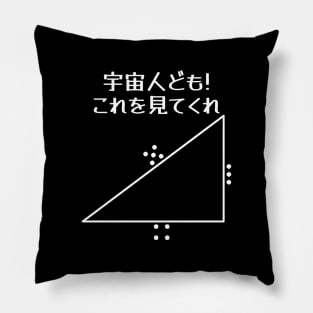 Japanese "Hey Aliens! Check This Out" Pythagoras Theorem Pillow