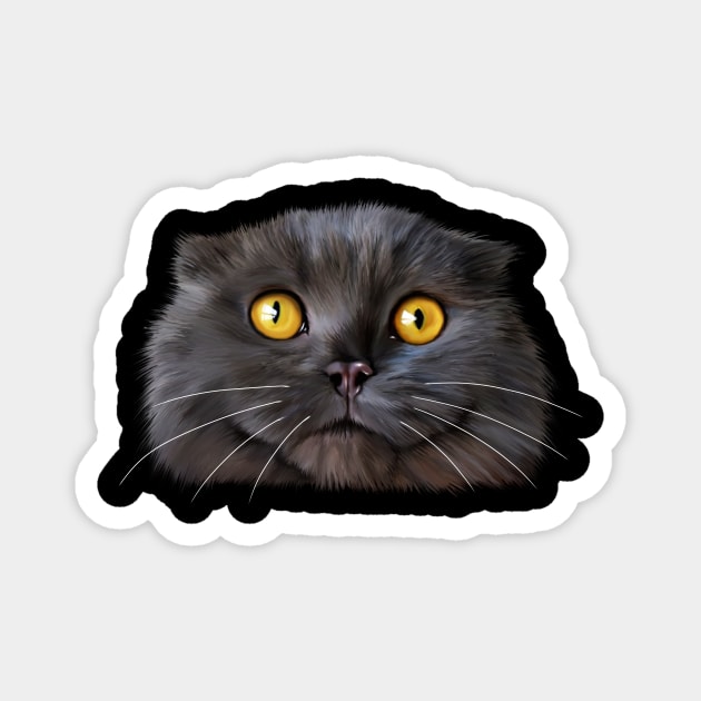 Funny Scottish Fold Face, Cat Lover Magnet by dukito