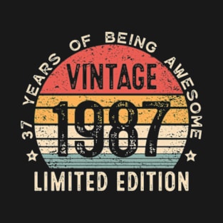 37th Birthday 37 Years Old Man Woman Vintage 1987 T-Shirt