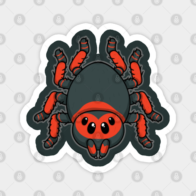 cuddly spider