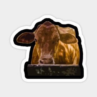 beautiful cow Magnet