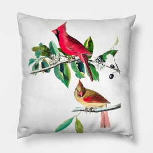 Cardinal Grosbeak from Birds of America (1827) Pillow