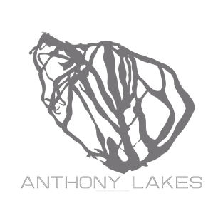 Anthony Lakes Resort 3D T-Shirt