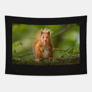 Dave-Squirrel Tapestry