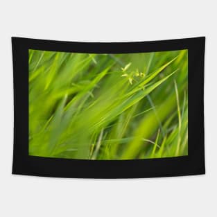 Shallow Blades of Grass Tapestry