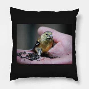 Goldfinch Fledgling & Niger Seeds... Pillow