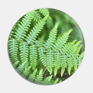 Ferns Pin