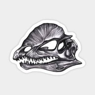 Diplophosaurus Skull Magnet