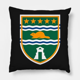 Surrey BC Flag Decal Pillow