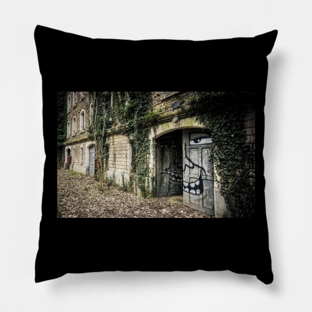 smileurbex Pillow by Louwamg