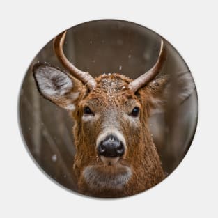 White-tailed Deer Pin