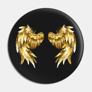 Jewelry Wings Pin