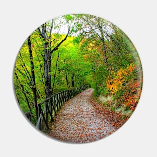 View from Lago di Boccafornace in Pievebovigliana, Valfornace (Macerata) with a path through a thicket Pin