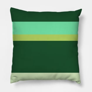 A pleasant jam of Salem, Seafoam Blue, Tea Green, Cal Poly Pomona Green and June Bud stripes. Pillow