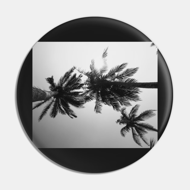 Palmtree black&white Pin by ColorsHappiness