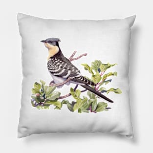 Great Spotted Cuckoo Pillow