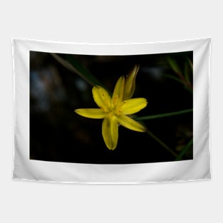 Rush Lily In Flower Tapestry