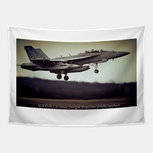 EA-18G Growler Super Hornet FCLP 1 Tapestry