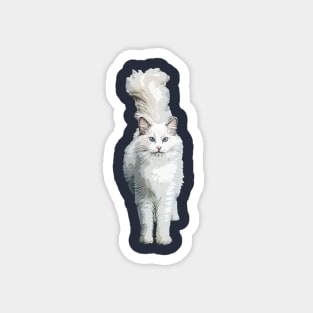 Ragdoll Cat Model Magnet