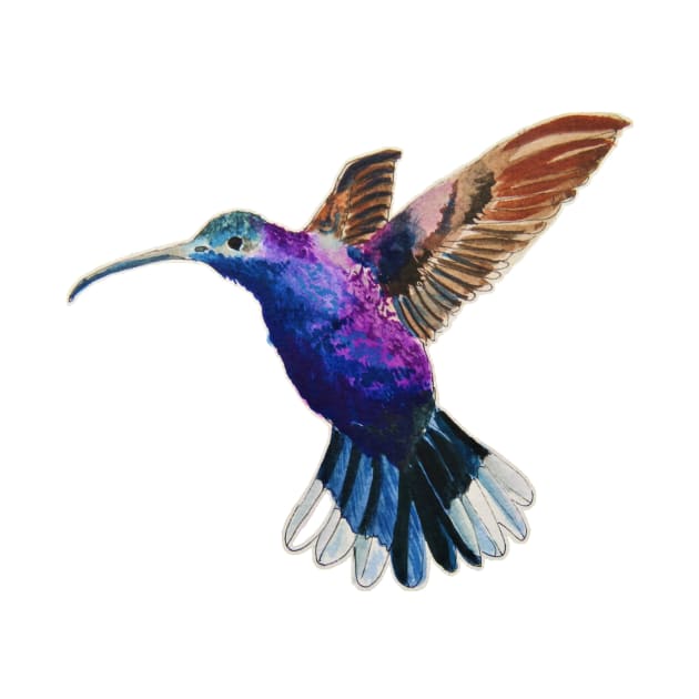 Flying Violet Saberwing Hummingbird Watercolor Painting by julyperson