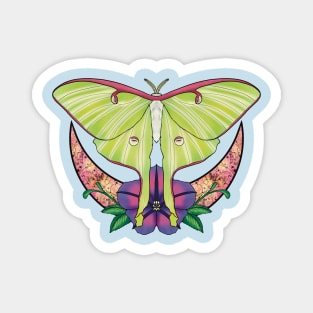 Luna Moth Magnet