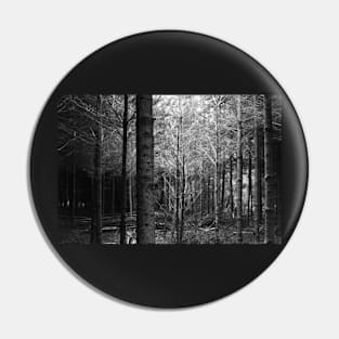 forest in black and white Pin