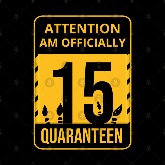 15th Birthday Officially a Quaranteen 15 Years Old by heidiki.png